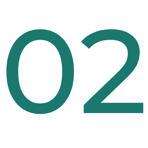 Needs Analysis & Curriculum Development